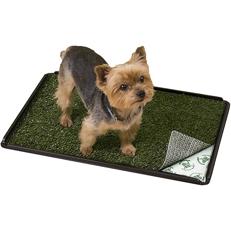 pooch pads amazon