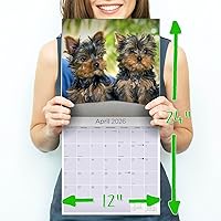 Vista 1167 de Razas de Perros 2017