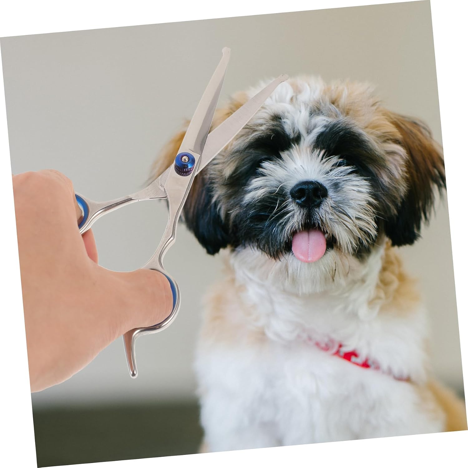 CALLARON 2PCS Round Head Pet Scissors Professional Pet Hair Trimmers for Home Salon Use Ergonomic Cats Efficient Hair Cutting