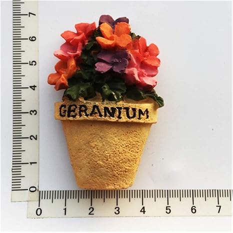 Amazon 冷蔵庫用マグネット ヨーロッパの冷蔵庫の磁石のお土産3d花の手描きの装飾的な冷蔵庫ペースト工芸品子供の初期教育ギフト Color 1 Jsjjtgb 生活雑貨 通販