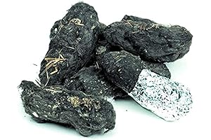 Barn Owl Pellets - Large - Pack of 6