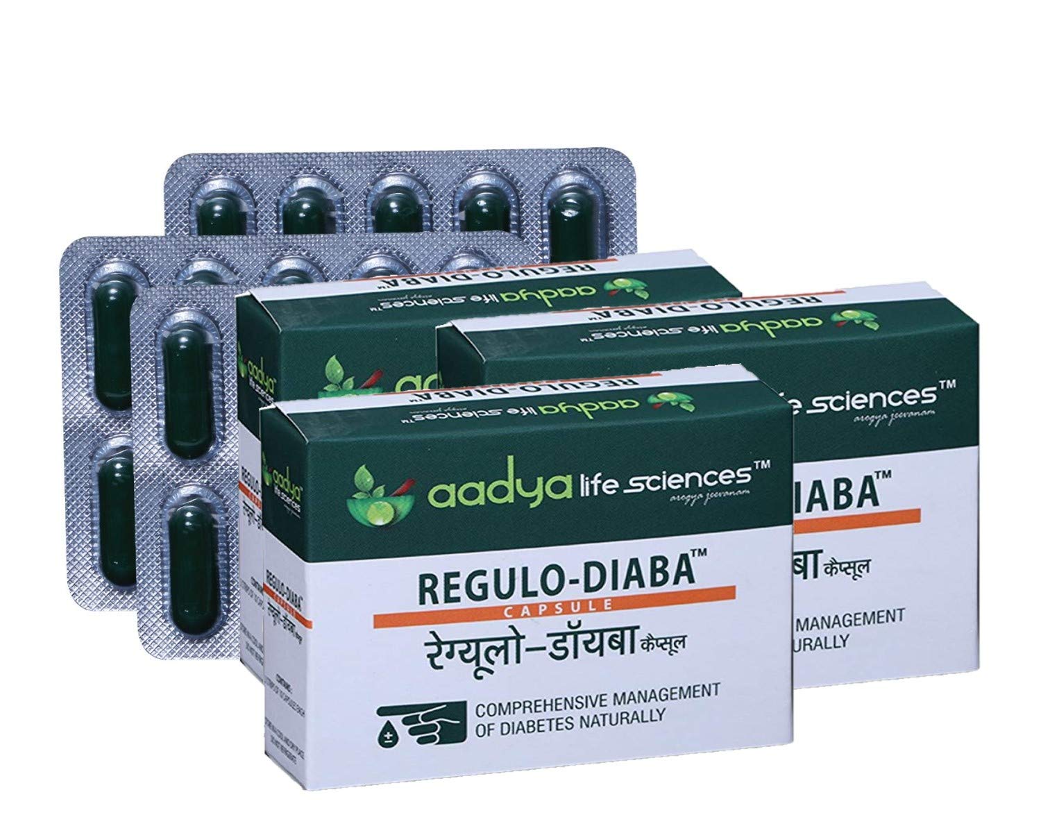Aadya Life Regulo-Diaba Capsules (pack of 3) 90 capsules | An Herbal dietary support that helps with Diabetes related complication | Blends of Natural Herbs With Giloy, Neem, karela and Methi-image-27