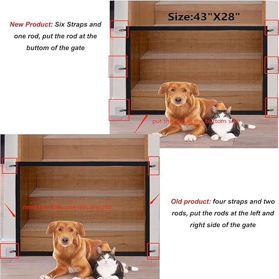 the pet needs magic gate