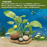 1点限り‼️ 人工水草 水槽内装 水族館植物 オーナメント Amazon | 水槽用 人工水草 人工植物 水槽 オーナメント