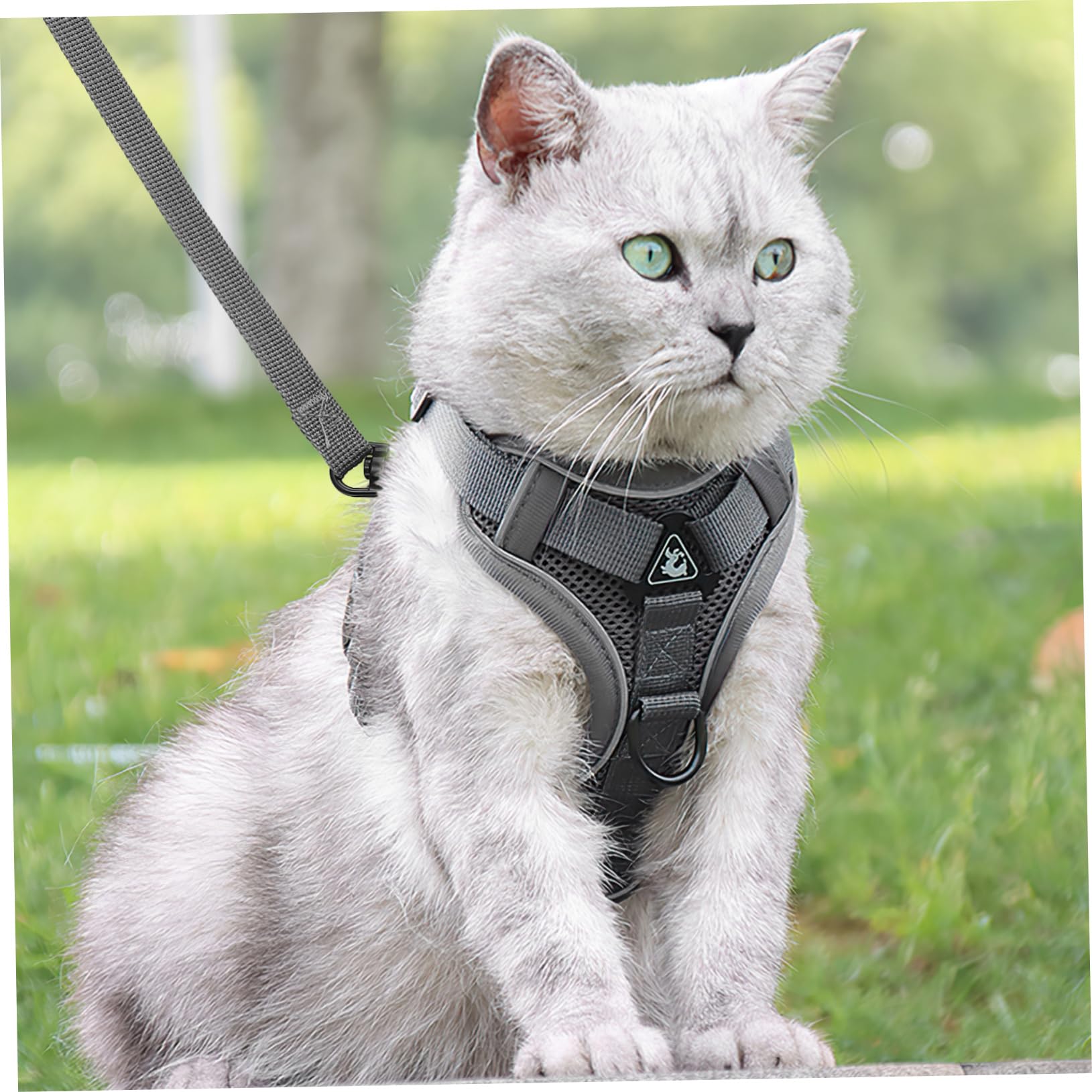 Sosoport 5stücke Hundegeschirr Für Katzen Und Hunde Verstellbare Reflektierende Hundeweste Mit Leine Bequem Atmungsaktiv Für Outdoor-aktivitäten