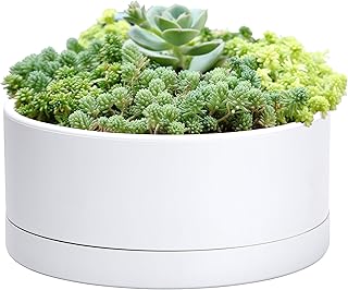 D'vine Dev 10 Inch Plastic Shallow Planter, Large Round Succulent Plant ...