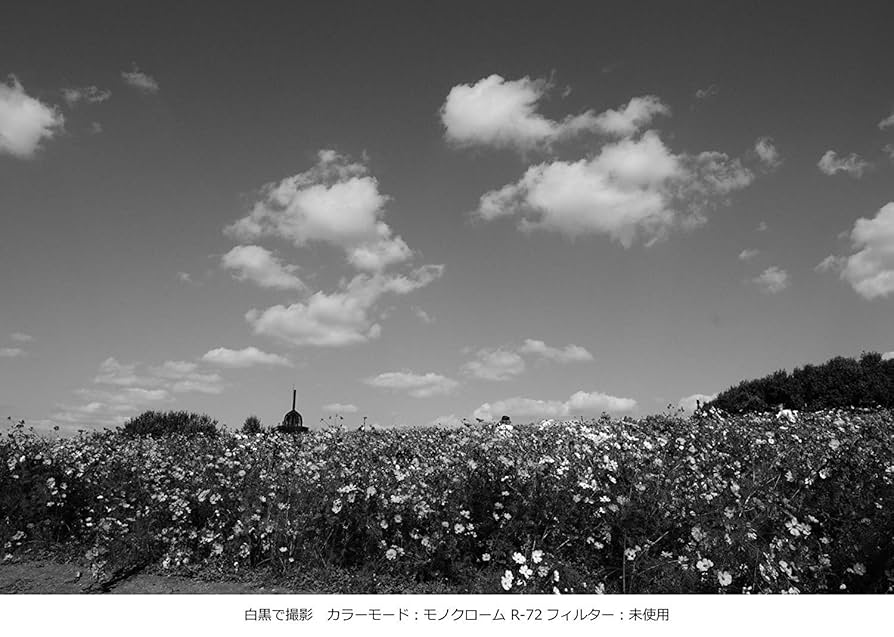 Kenko カメラ用フィルター PRO1D R-72 52mm モノクロ撮影用 325209 71ZBFVeu-nL._UF894,1000_QL80_.jpg