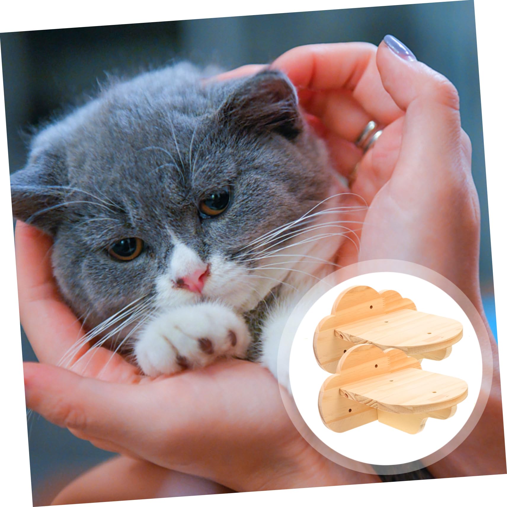 Wandtreppe für Katzen, 2 Stück, Stabil und Platzsparend