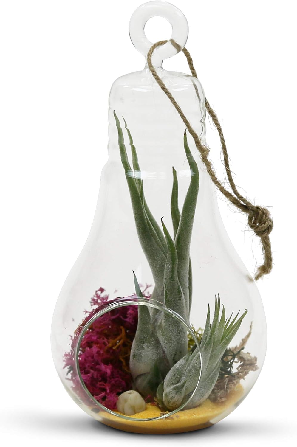 WGV Hanging Glass Plant Terrarium Bulk, Width 4.25", Height 8.25", Bulb DIY Air Succulent Planter Clear Tea Light Votive Candle Holder, Wedding Event Office Home Outdoor Decor, 6 Pieces