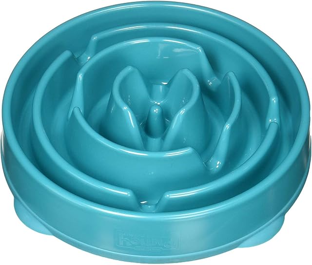 Outward Hound Fun Feeder Slo Bowl, Slow Feeder Dog Bowl, Large/Regular, Turquoise