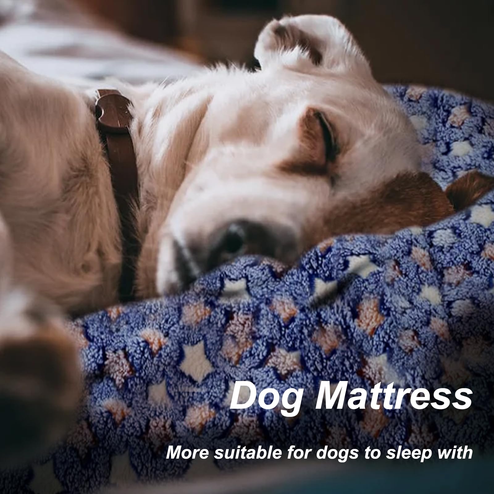 Cuscino Ovale Per Cani E Gatti - Blu, Made In Italy, Misura M - Foto 14