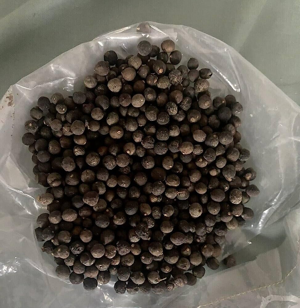 Curry Leaves Pack Of 13 (Kari Patta Seeds) (B0CN12FHGQ) Amazon Price History, Amazon Price Tracker