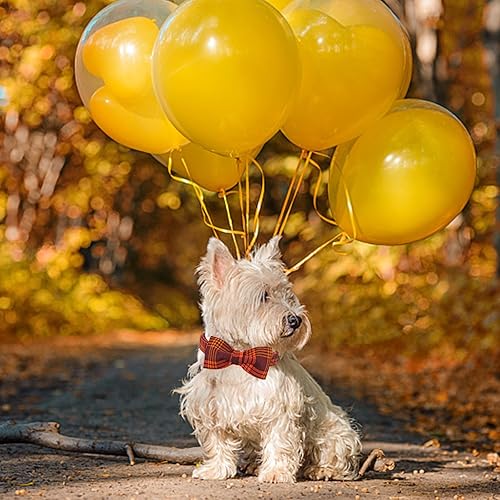 Miniatura 6 de Lionheart glory Collar de perro de otoño con lazo a cuadros, collar de perro con lazo, collar de perro para mascotas, collar de perro, lazos