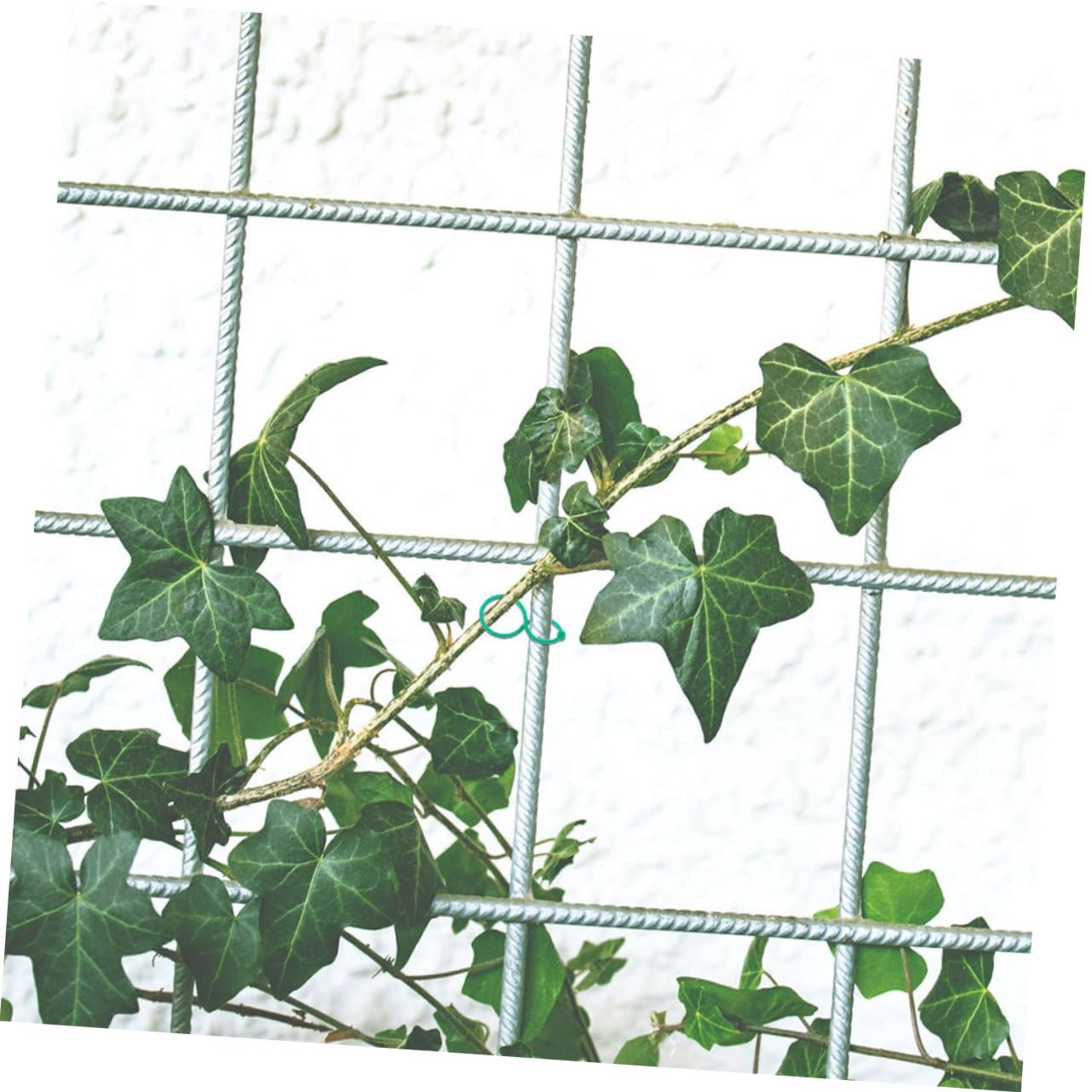 Yardwe 300stücke Pflanzenclips Wiederverwendbare Kunststoff-Clips Zur Pflanzenstütze Robust Und Geruchlos Für Gartenpflanzen Tomaten Und Blumen Zur Unterstützung Von Trieben Kontrolle