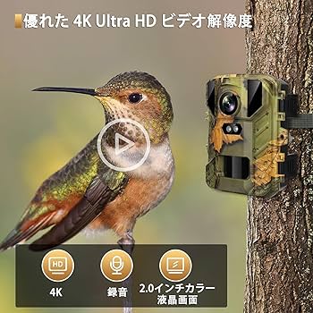 トレイルカメラ 電池式 暗視カメラ 動体検知 赤外線人感センサー 屋外 2セット imgrc0112076897.jpg