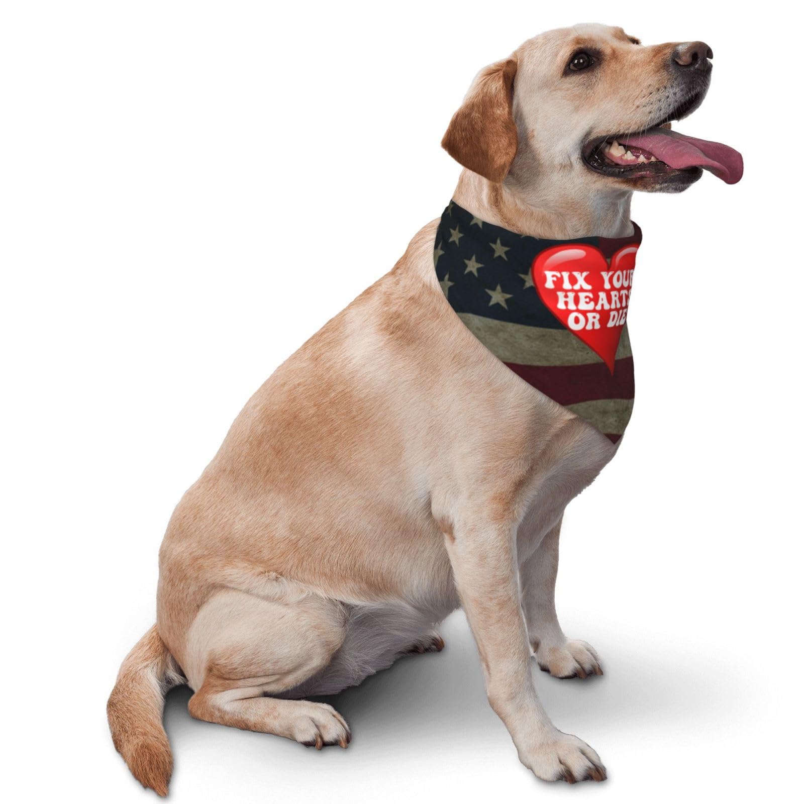 Fix Your Hearts Or Die Dog Scarf Pet Bandana Cat Pet Bibs