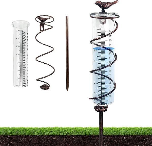 PORFOYO - Pluviómetro para exteriores, jardín anticongelante, pluviómetro de cristal con marco de metal, pájaro de hierro fundido para colgar y pluviómetro decorativo para exteriores - 1