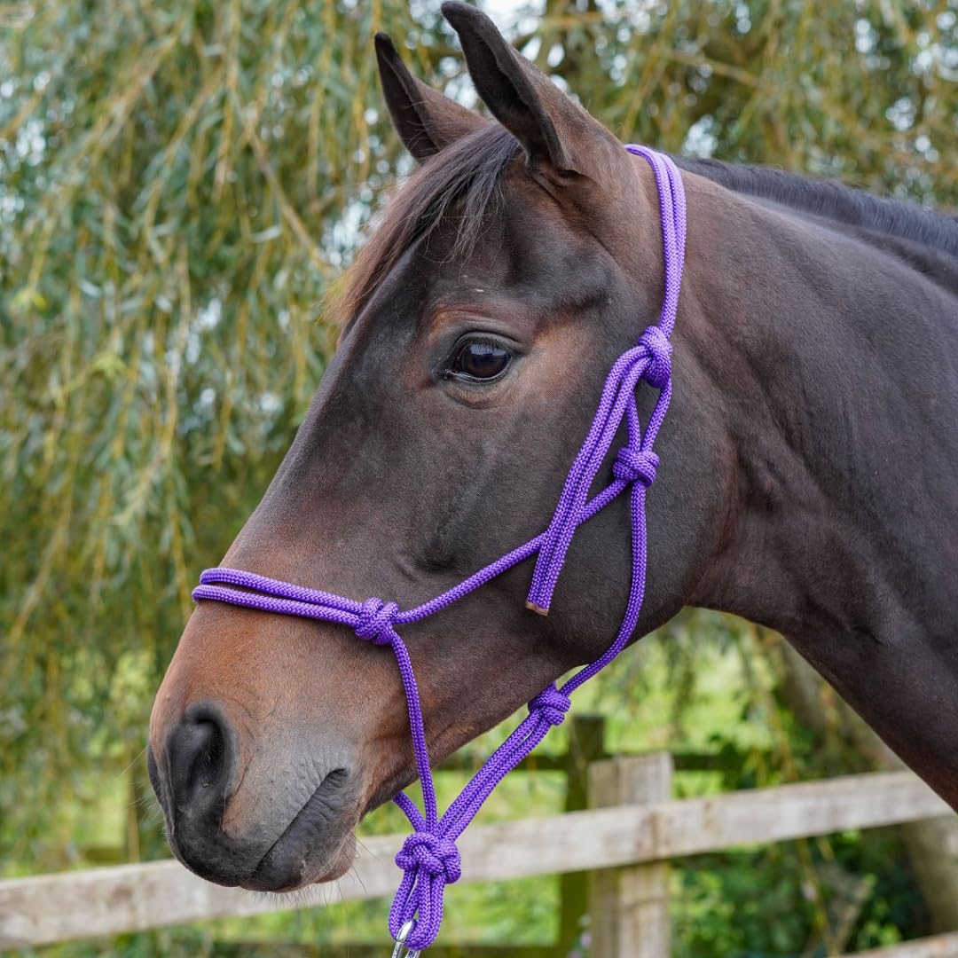 GS Equestrian Rope Halter for Horses – Lightweight, Easy Fit Headcollar – Multiple Sizes & Colours (Purple, Full)