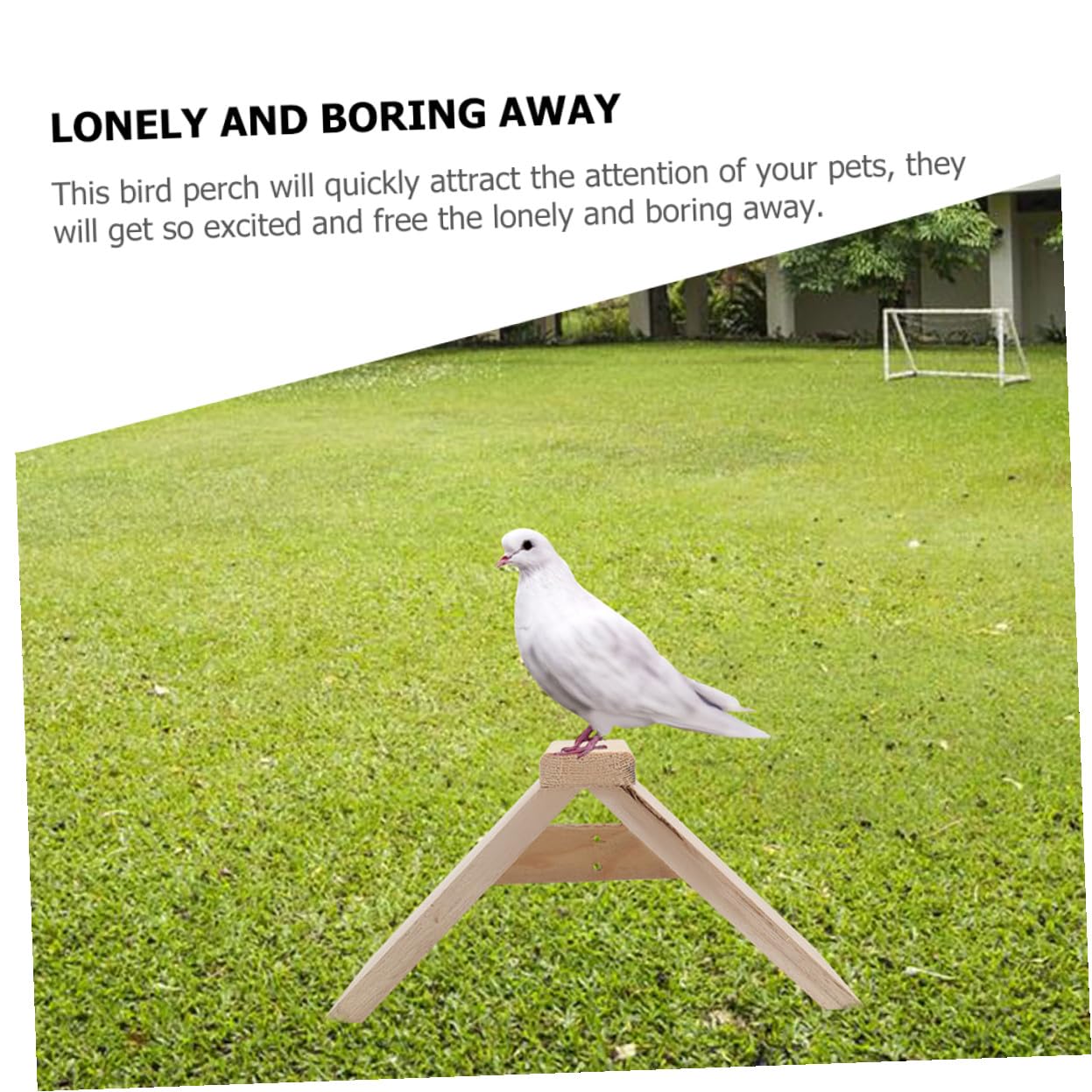 Gatuida Soporte De Madera Natural para Palomas y Loros, Percha Multifuncional De 5 Piezas, Tamaño Mediano, para Descanso y Juegos De Aves Pequeñas, Suministros para Mascotas y Parque De Aves