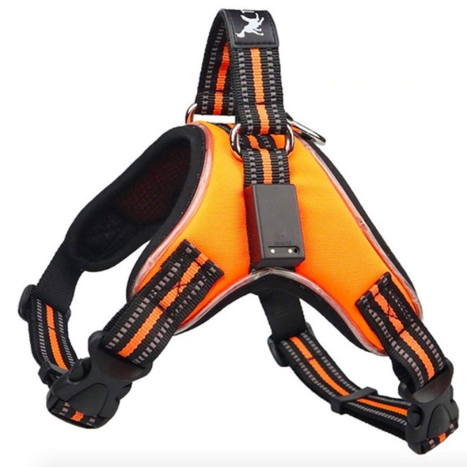 Pet LED wiring harness for pet dog tail nylon lights flashing dog harness collar pet safety leash leash dog accessories XXL orange