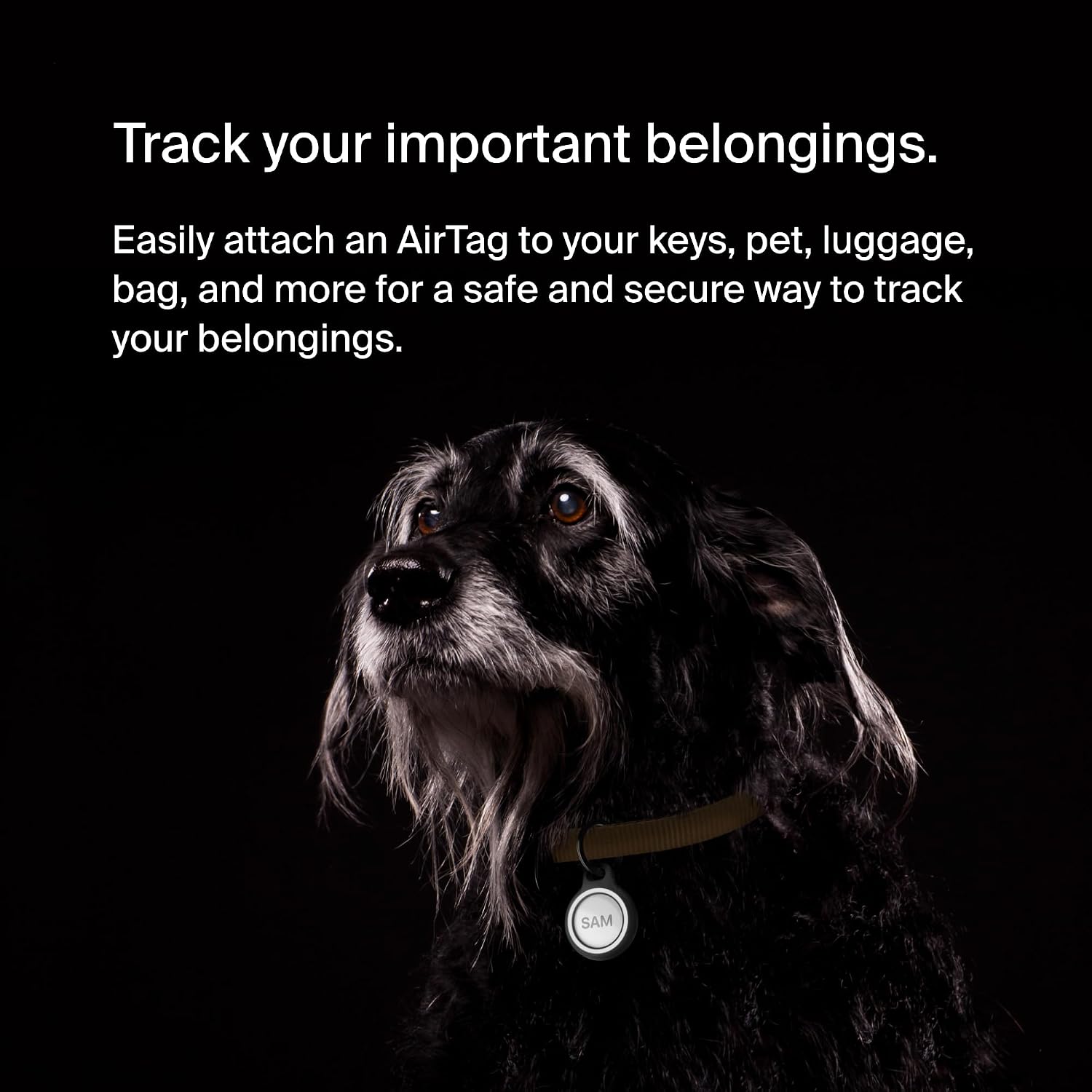 Belkin Apple AirTag Reflective Secure Holder w/Key Ring - AirTag Keychain - AirTag Holder - AirTag Keychain Accessories - Reflective & Scratch Resistant AirTag Case w/Raised Edges - 2-Pack Black
