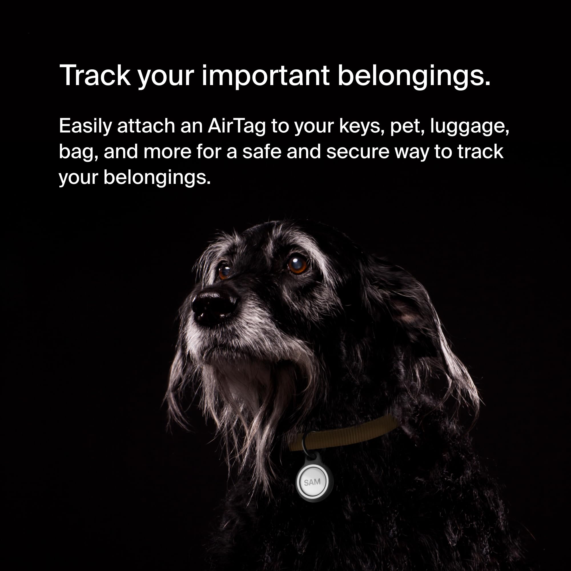 Belkin Apple AirTag Odblaskowy Bezpieczny Uchwyt Z Brelokiem - Apple AirTag Brelok - Uchwyt na AirTag, Akcesoria do Breloków AirTag, Odblaskowe i Odporne na Zarysowania Etui AirTag z podniesionymi