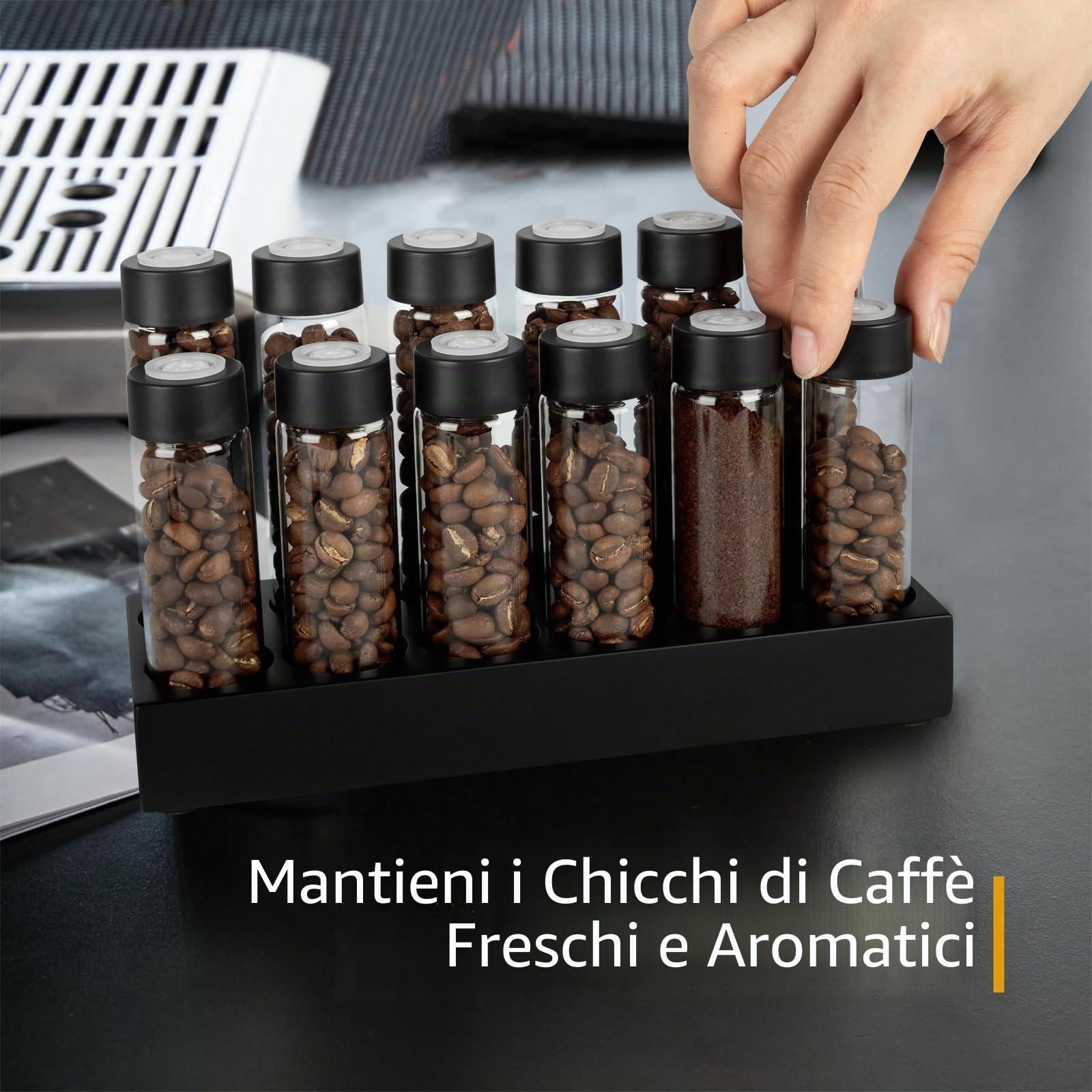 12 Tubi di Vetro per la Conservazione dei Chicchi di Caffè | Contenitori per la Conservazione dei Chicchi di Caffè Monodose con Supporto in Legno di Faggio, e Imbuto