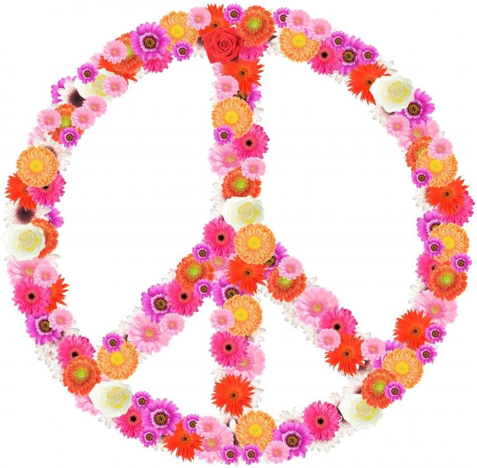 Wallmonkeys Peace Sign Wall Decal Peel and Stick Graphic WM160739 (18 in H x 18 in W)