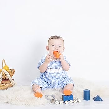 Amazon | ピープル お米のどうぶつでんしゃセット KM-042