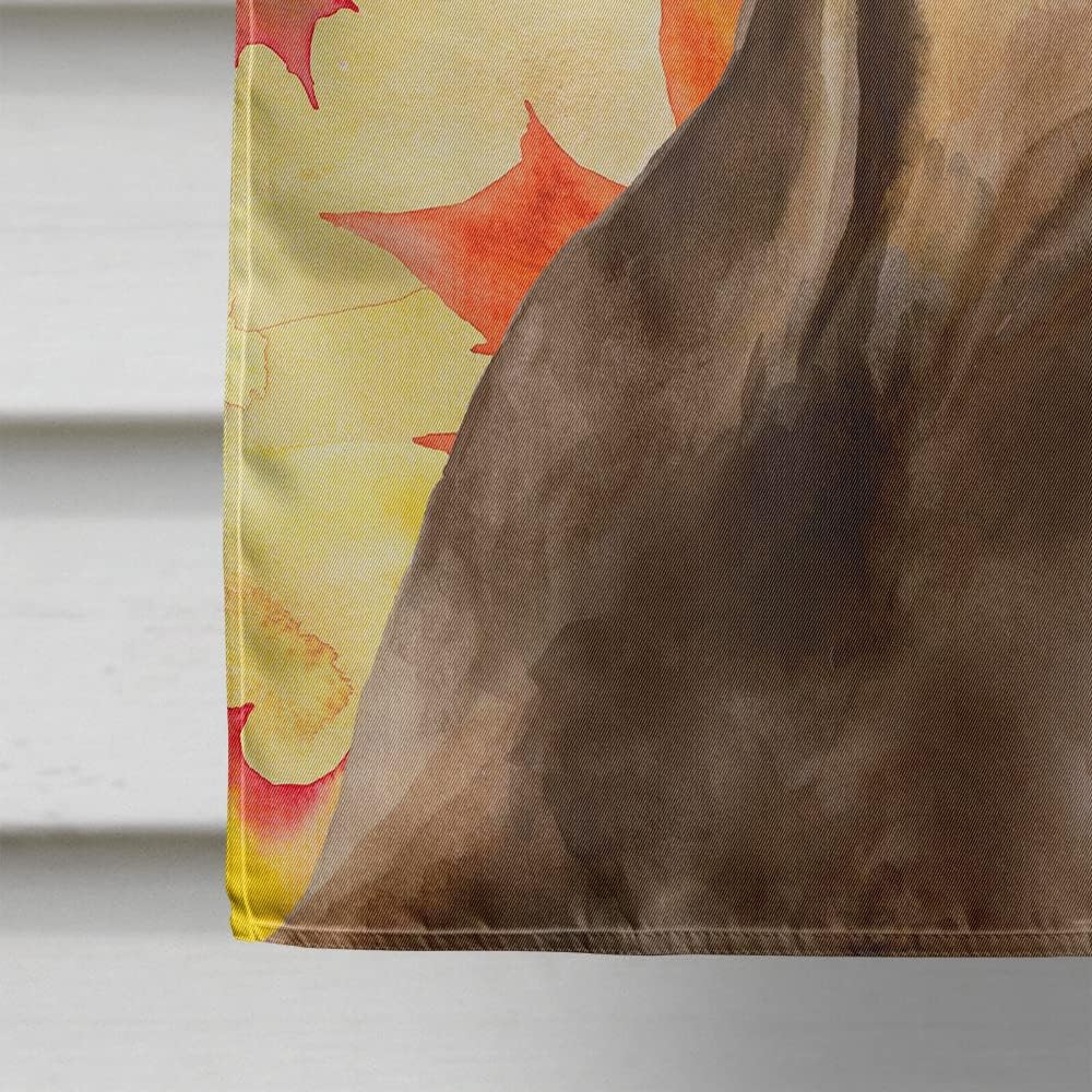 Caroline's Treasures BB9970CHF Doberman Pinscher Fall House Flag, Yellow Large Porch Sleeve Pole Decorative Outside Yard Banner Artwork Wall Hanging, Polyester, House Size, Multicolor