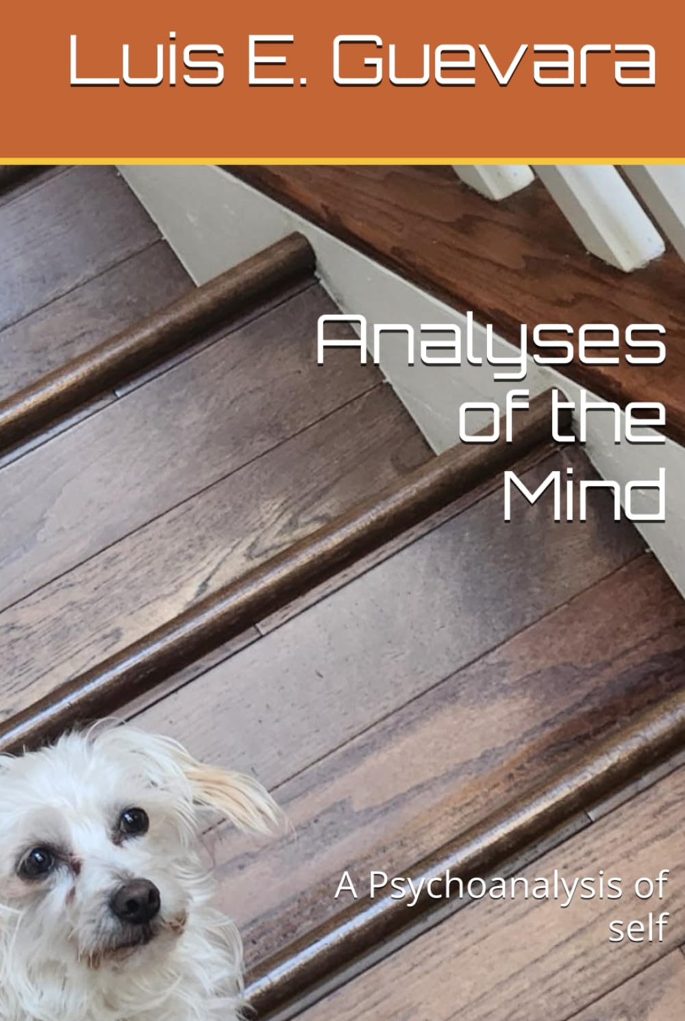 An analyses of the Mind: A Psychoanalysis of self