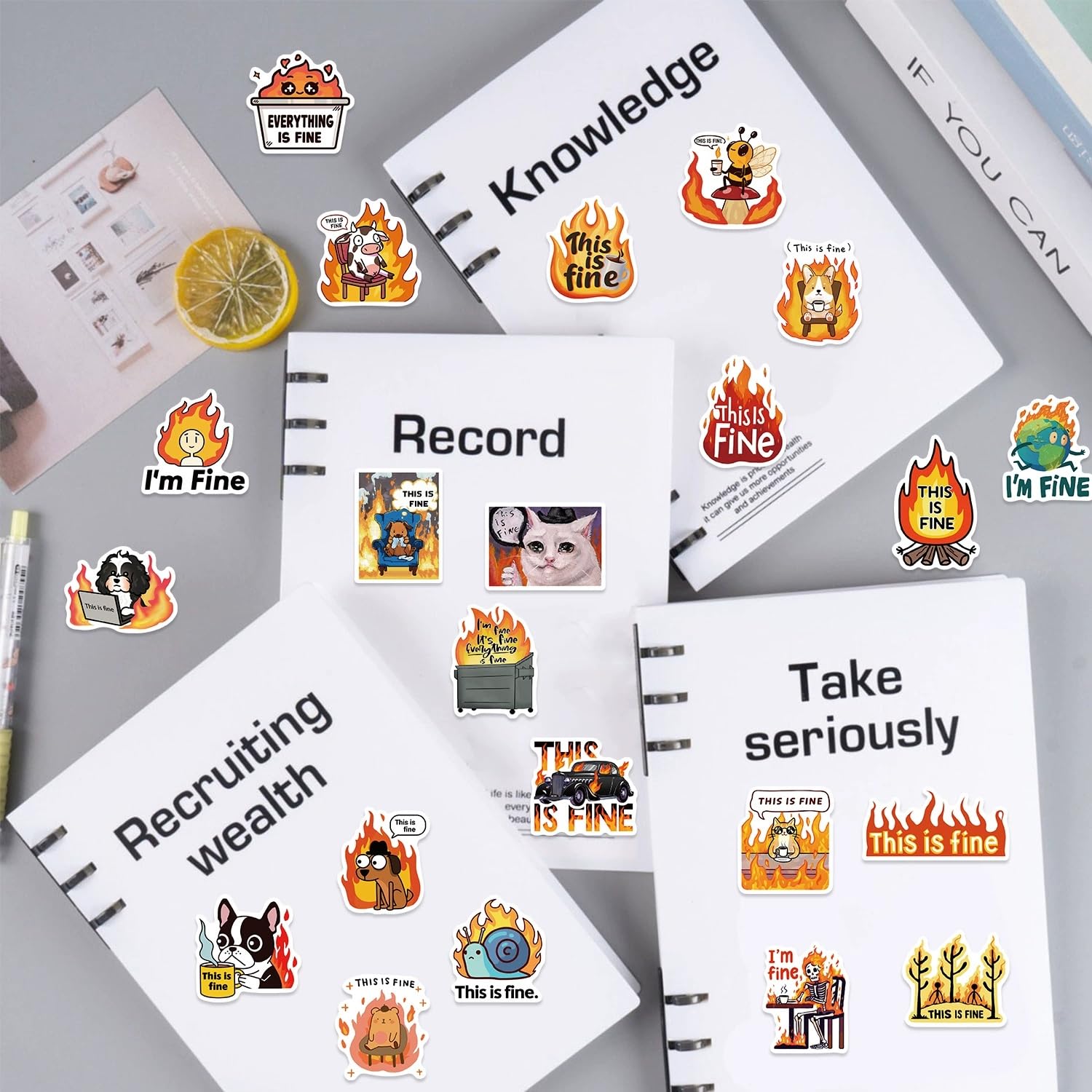 50 Pcs Funny Meme Stickers for Kids Teens Adults Boys Girls Gift,This is Fine Meme Decals Pack for Laptop,Skateboard,Luggage,Car,Bike,Cup,Computer,Water Bottle Decor,Vinyl Waterproof Stickers - Image 3