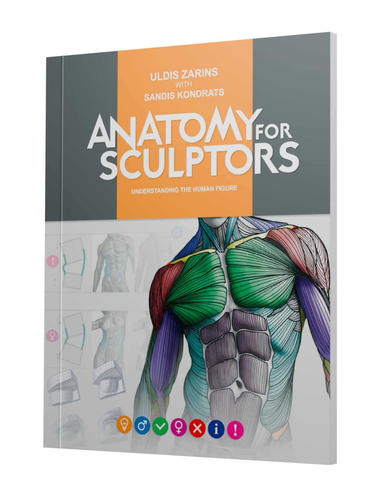 Anatomy For Sculptors, Understanding the Human Figure Paperback – January 1, 2014