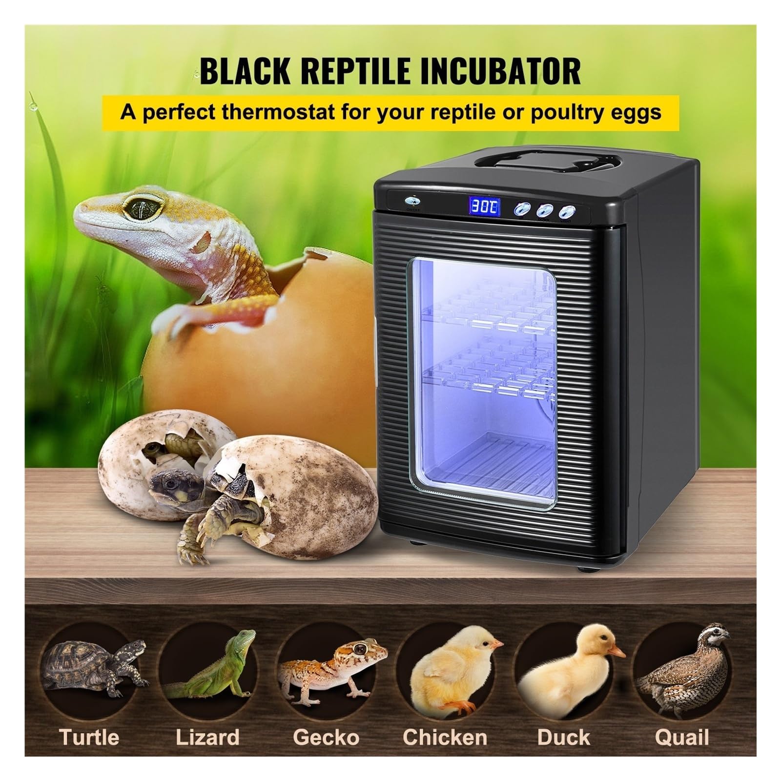 Incubadora de reptiles, termostato digital para huevos, 25 L, refrigeración y calefacción, 5-60 °C, ideal para pequeños reptiles, equipo de laboratorio para incubar huevos