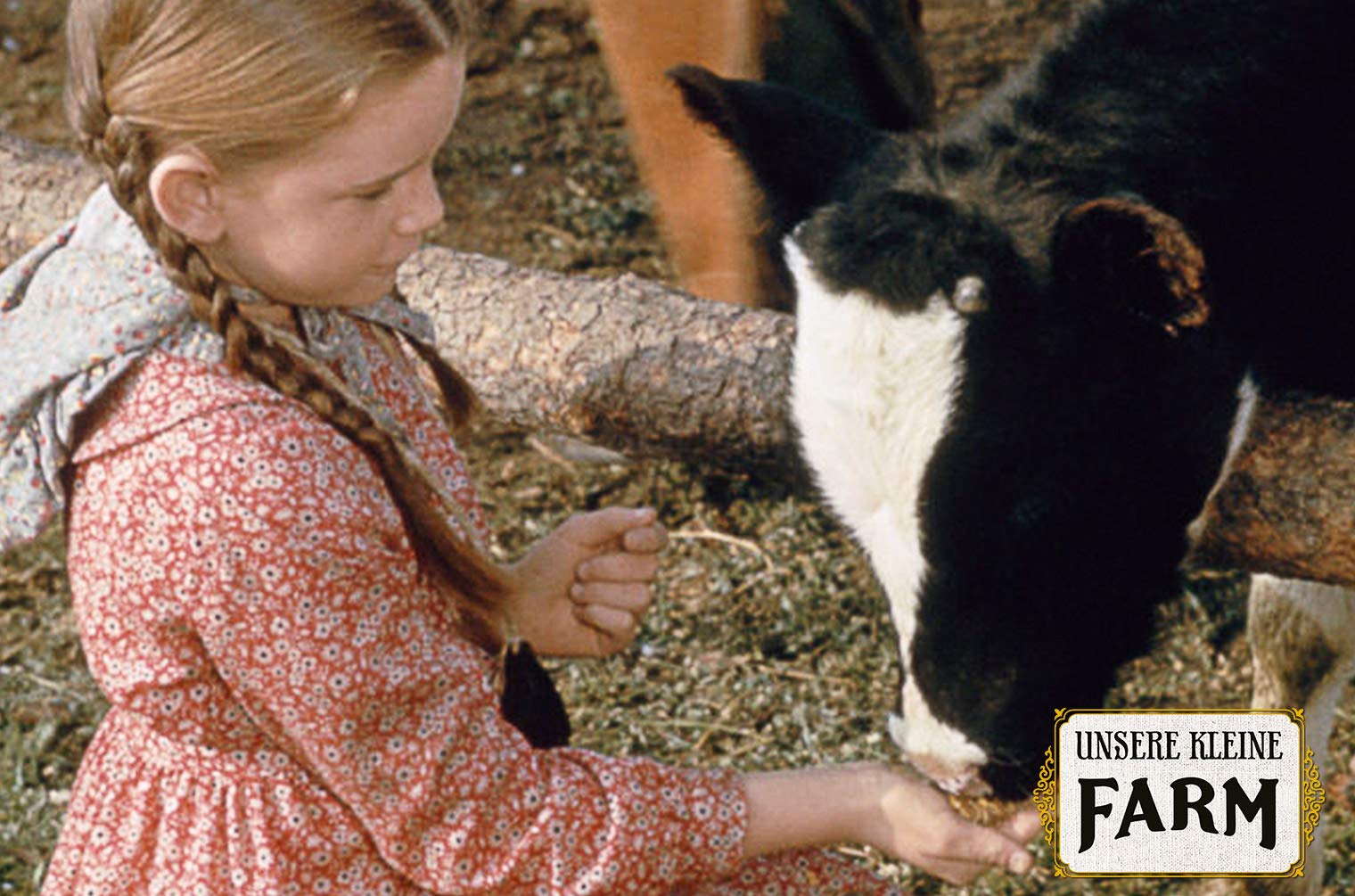 Unsere kleine Farm - Die komplette Serie - Staffel 1-10