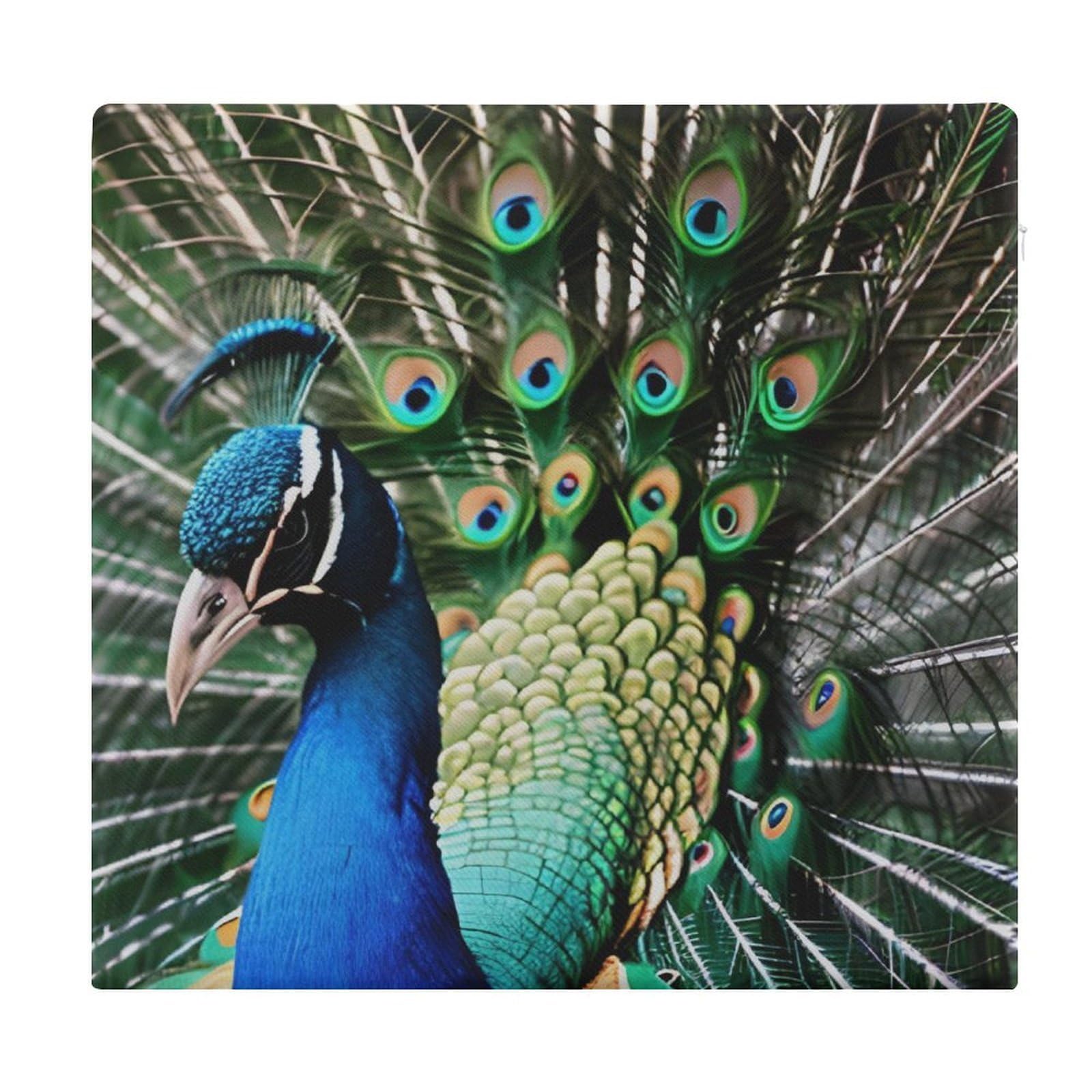 JTREHY Peacock Chair Cushions Non-Slip Bar Stool Cushions Ultra Soft Warm Memory Foam Meditation Cushion Removable Large Square Seat Cushions for Dining Chair 15x14In
