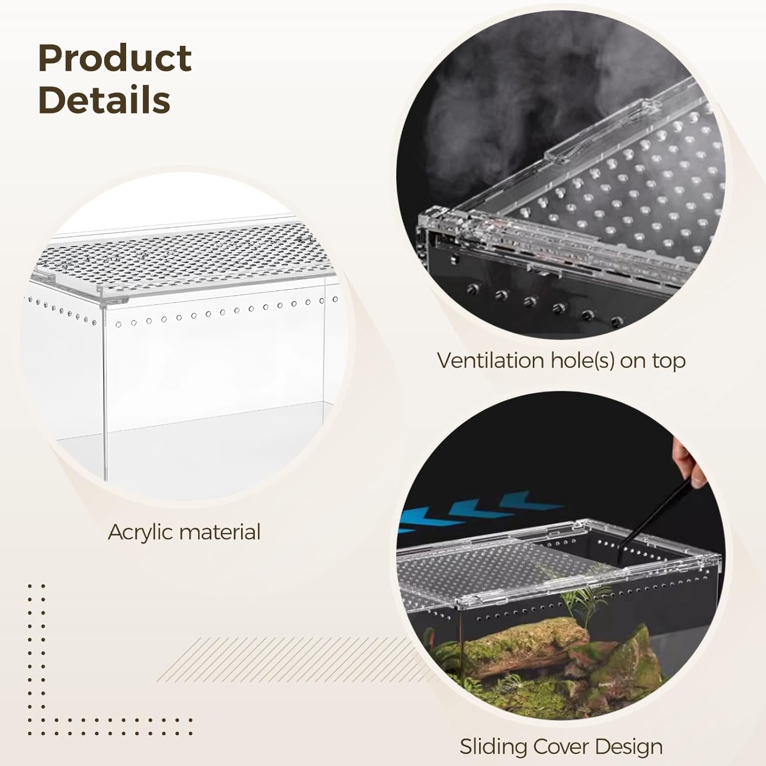 Transparent Acrylic Terrarium: 30 X 20 X 15 Cm for Reptiles & Insects