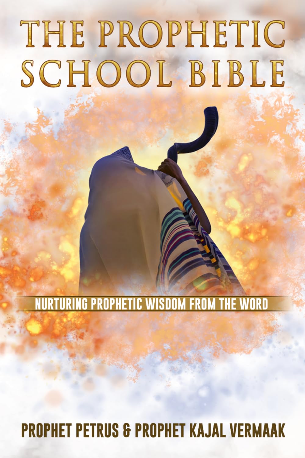 The Prophetic School Bible: Nurturing Prophetic Wisdom From The Word