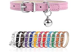 Adorable Yorkie Dog Collar for Safe and Stylish Adventures