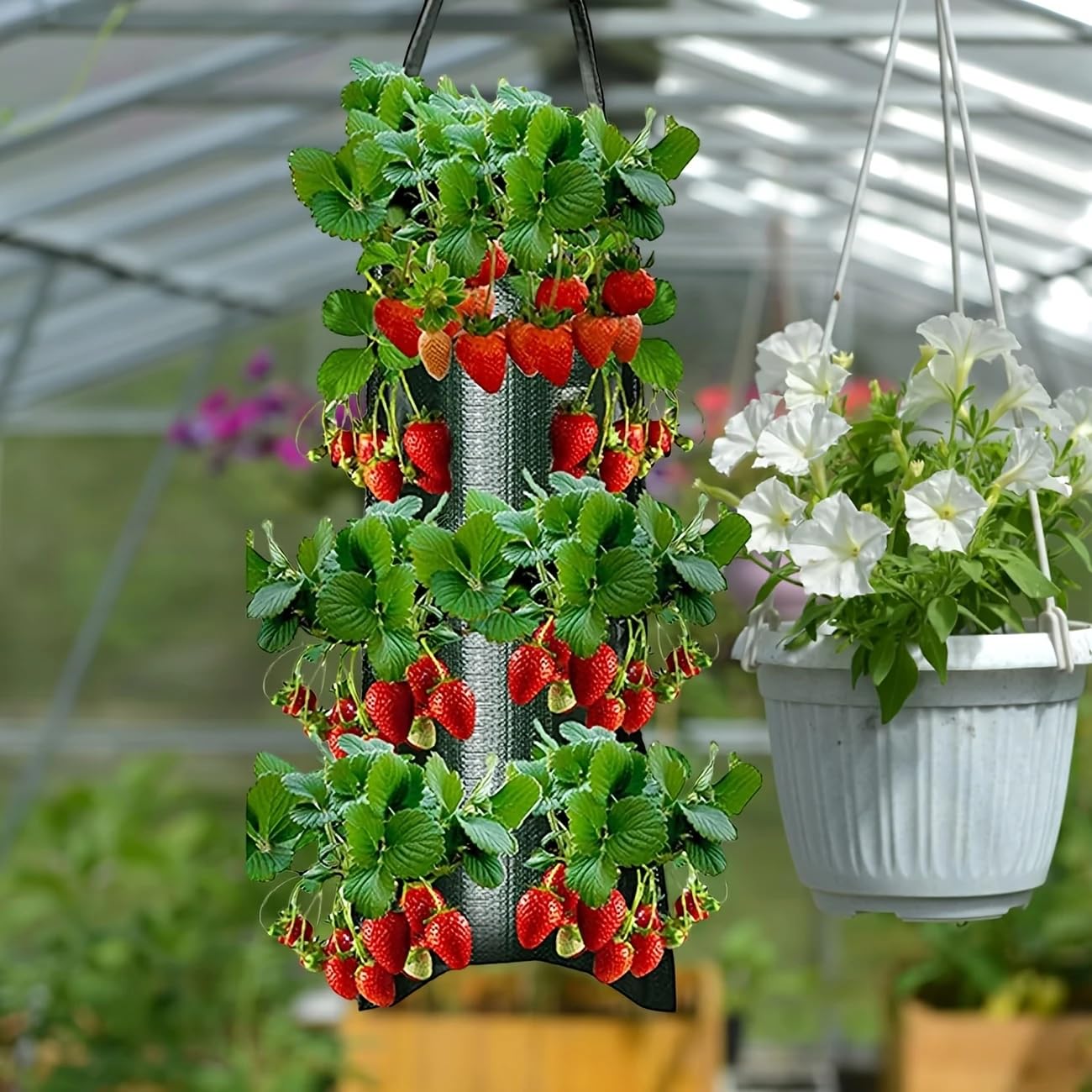 Amazon.com : Upside Down Strawberries Grow Bags,10 Pack Garden Hanging  Strawberry Grow Bag, Hanging Strawberry Planter with Planting Pockets,  Hanging Planter for Strawberries,Tomatoes, Chili, Herbs, Vegetables :  Patio, Lawn & Garden