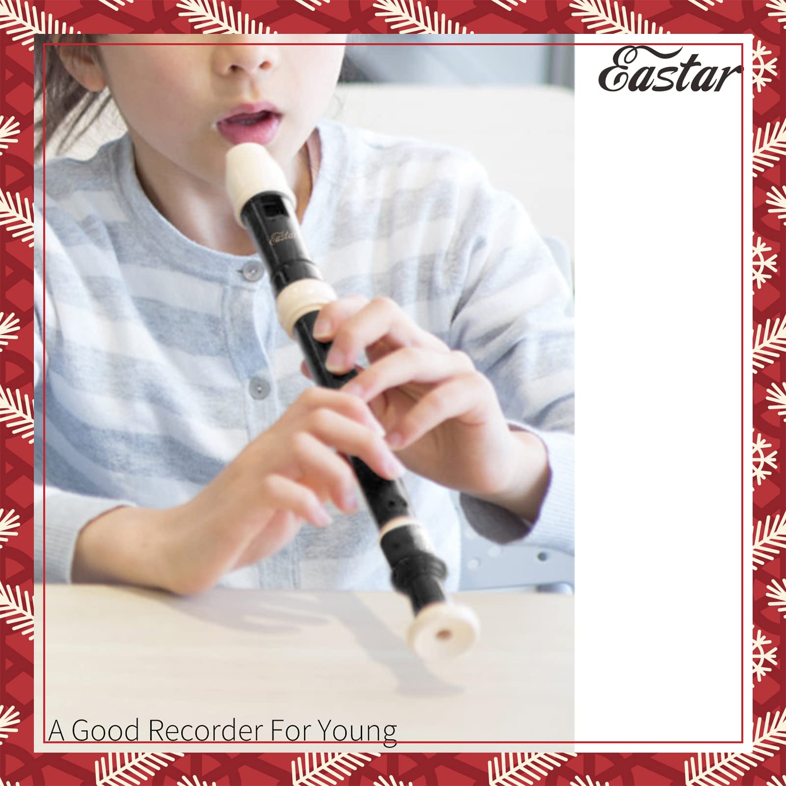 Buy Eastar Soprano Recorder for Beginners Kids, Baroque style C Key