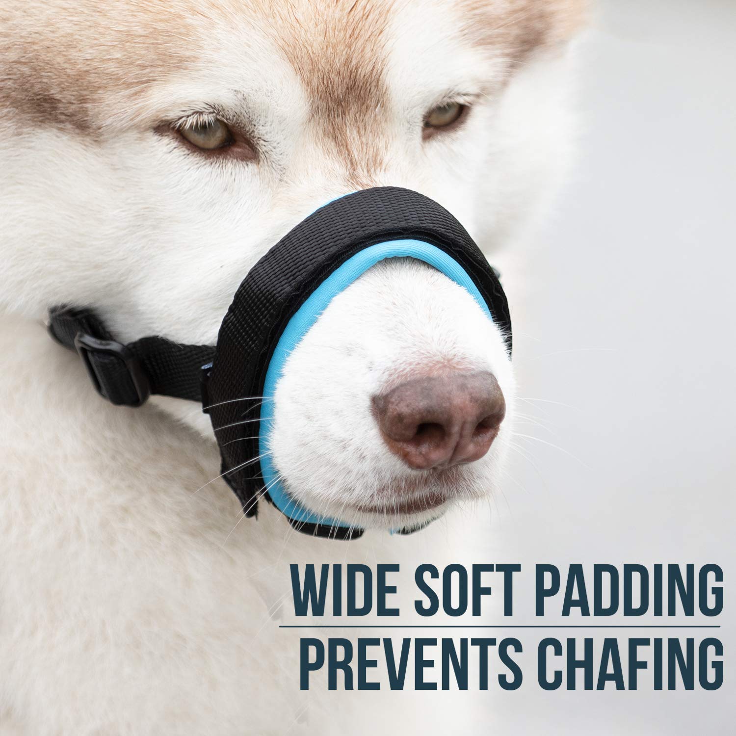 chew guard leash protector