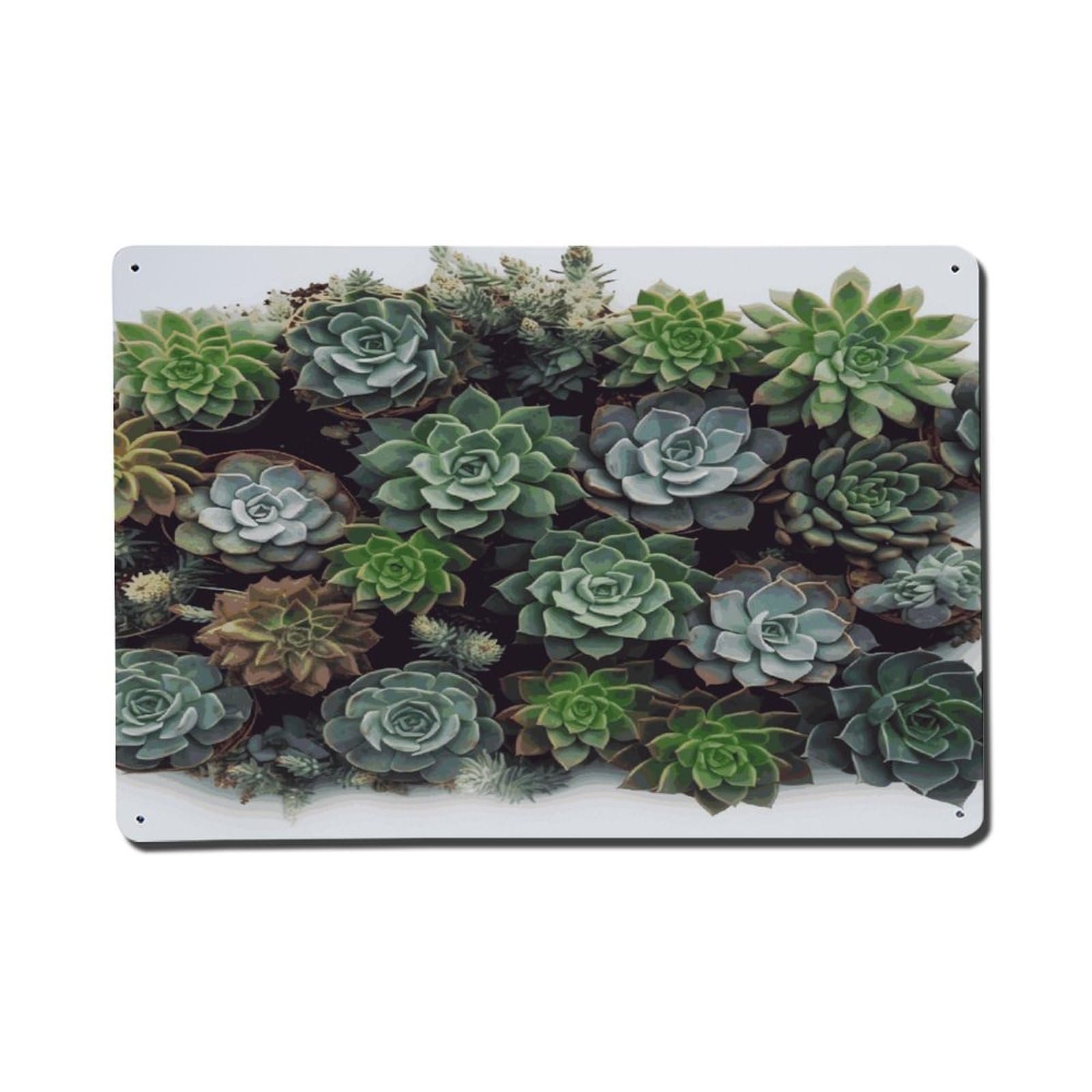 Adfgyerh Style Succulent Plants Metal Signs Funny, Aluminum Tin Sign Indoor Outdoor Decor, Vintage Signs For Home Office Kitchen Bar Cafe Garden Farmhouse Wall Decor