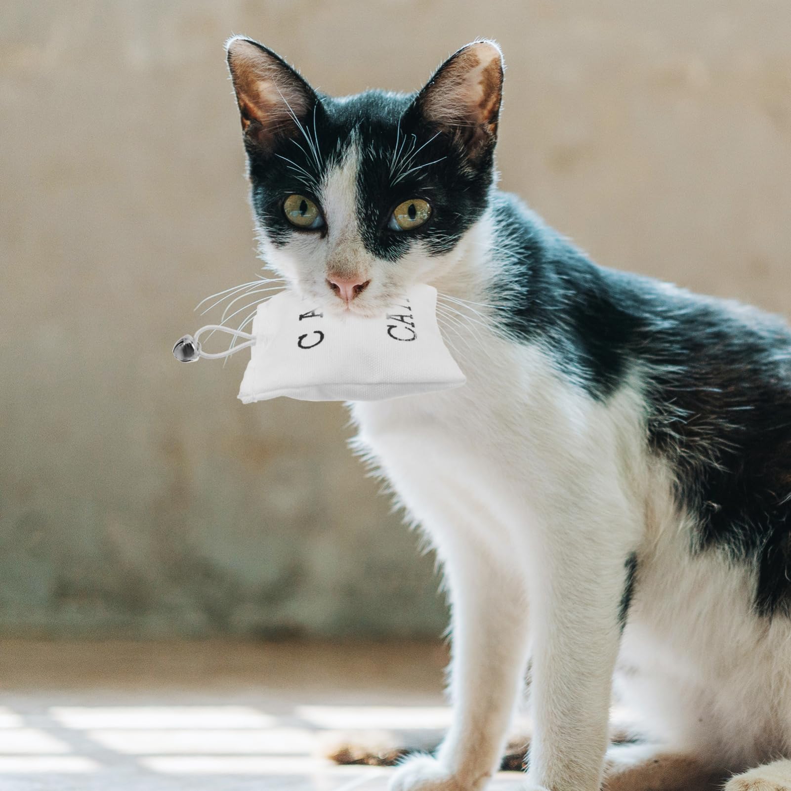 FUTUREORYY 3pcs Catnip Sack Toys for Cats 10 * 7cm Catnip Bags for Interactive Play Soft Kicker Toy for Kittens and Adult Cats Style : Pet Supplies