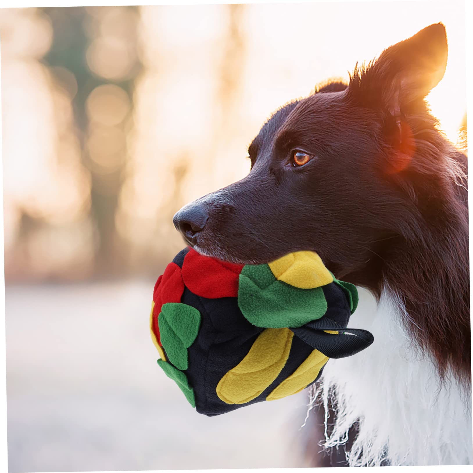 Angoily 2stücke Interaktiver Futterball Für Hunde Schnüffelspielzeug Geistigen Aktivität Robustes Design Vintage Fördert Spiel Und Training Für Kleine Und Mittelgroße Hunde