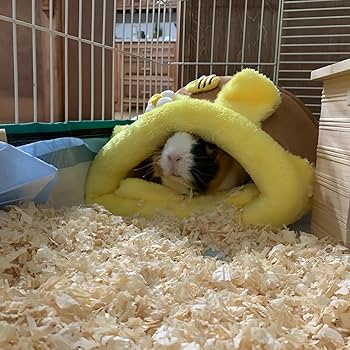 Tunnel ***guinea Pig Bed Small Animal Bed**soft Fleece STAY OPEN Tunnel