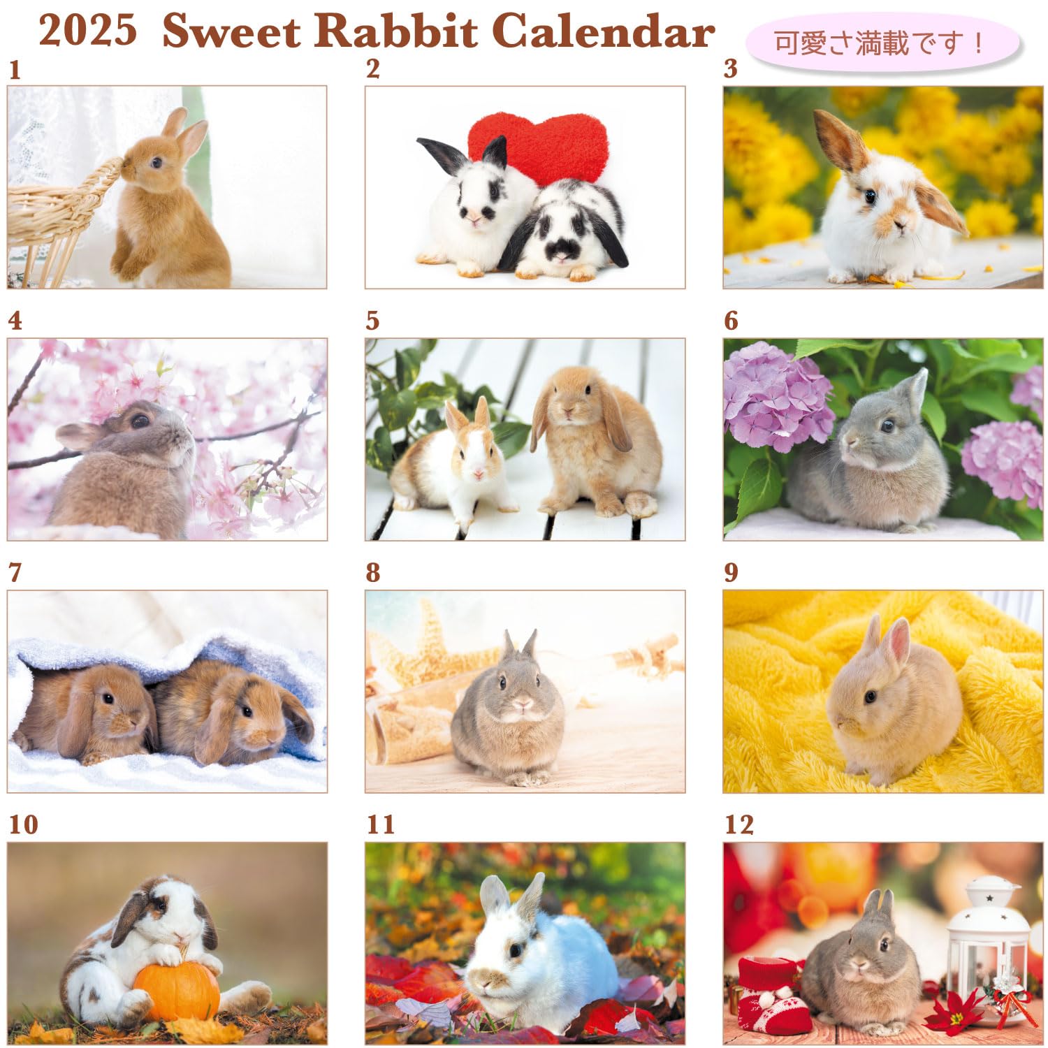 y⭐︎Rabbit Xiaoyu rabbit-725 - LINE スタンプ | LINE STORE
