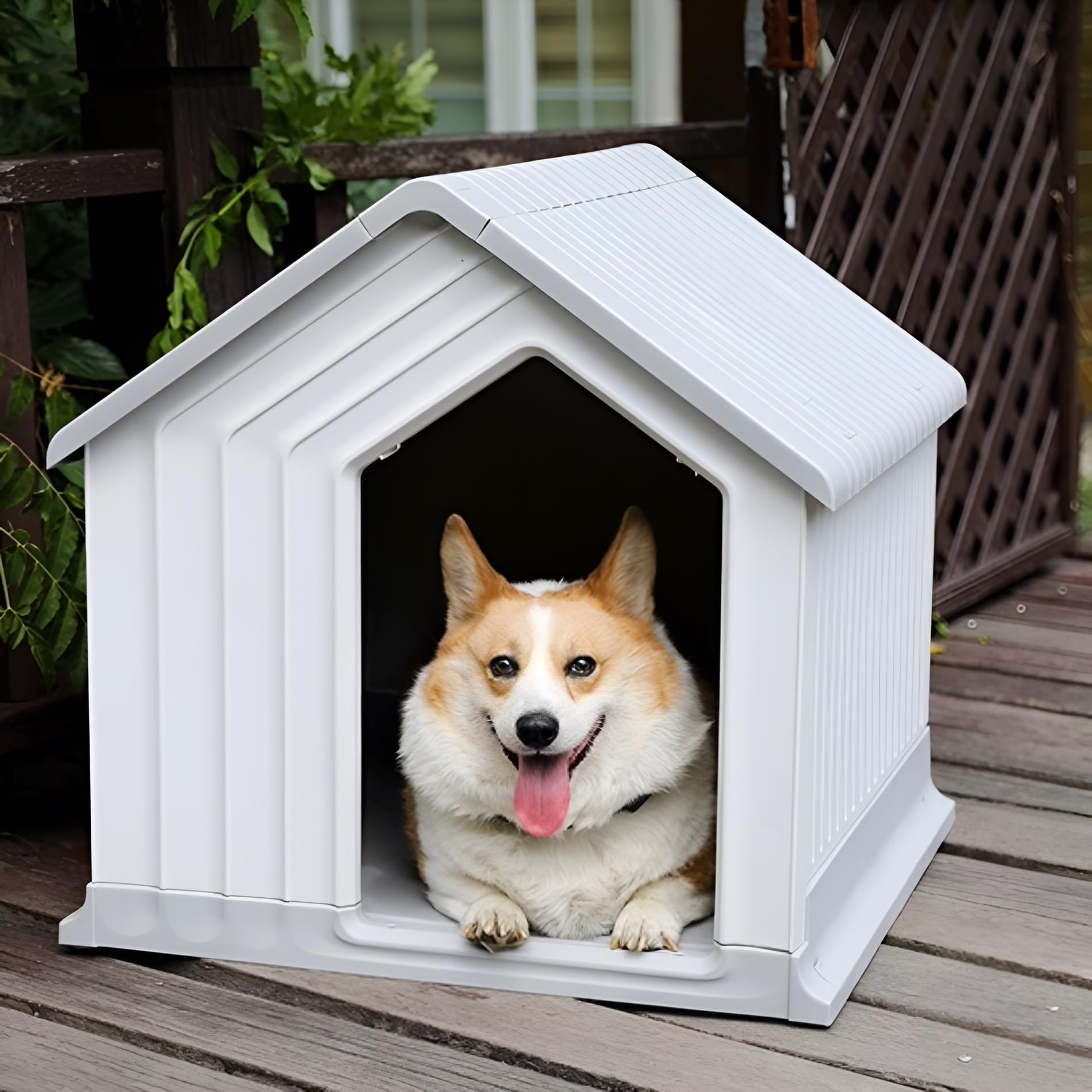 犬小屋 中小型犬用 犬舎 組立式 ペットハウス プラスチック製 防風 防雨 Amazon.co.jp: 組立式 犬小屋 中小型犬用 犬 ゲージ 犬舎 ペット