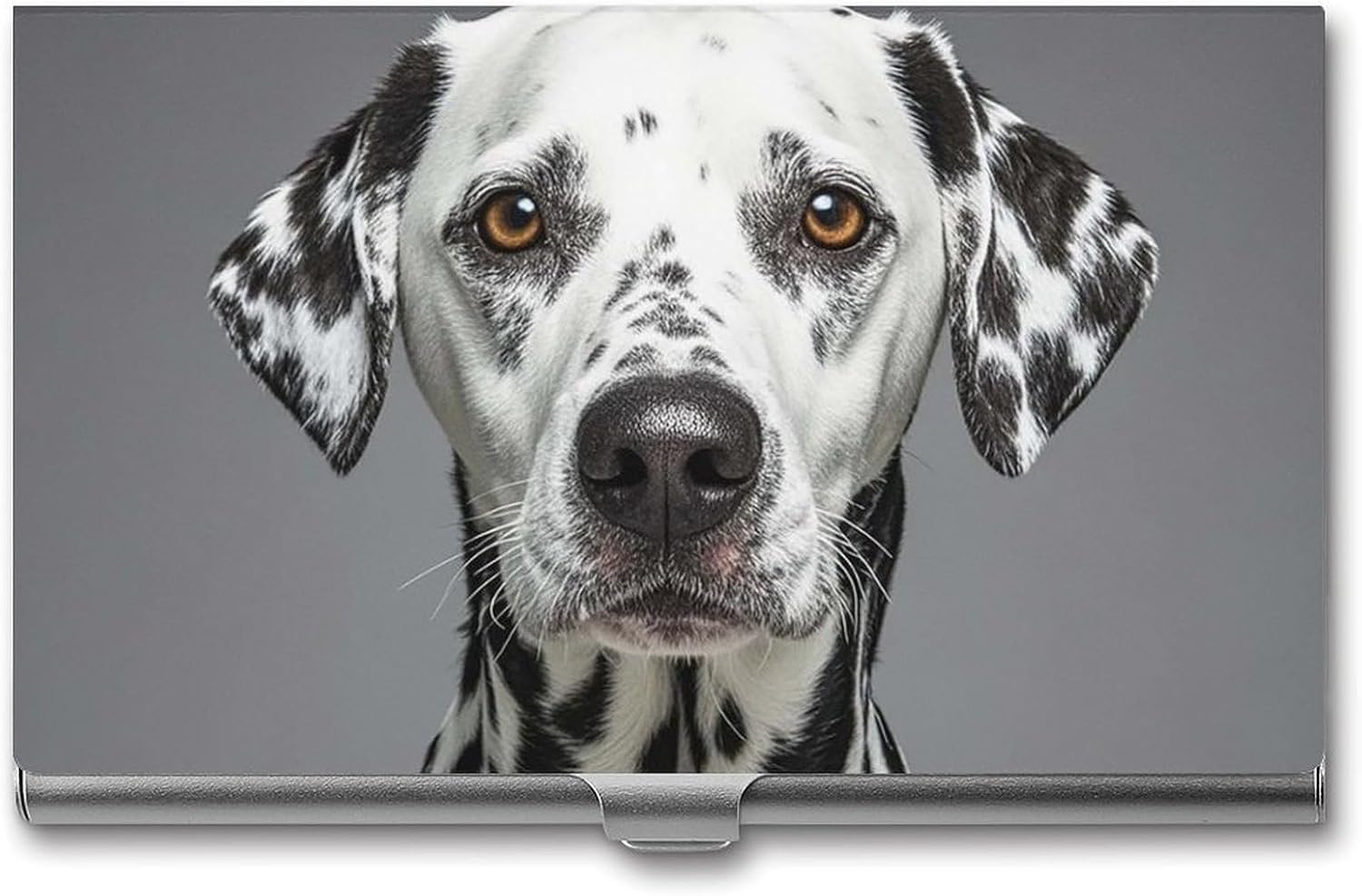 Dalmatian Business Card Case for Women Or Men Snaps Closed Portable Name Holder Credit Card Holder for Business Meeting Use