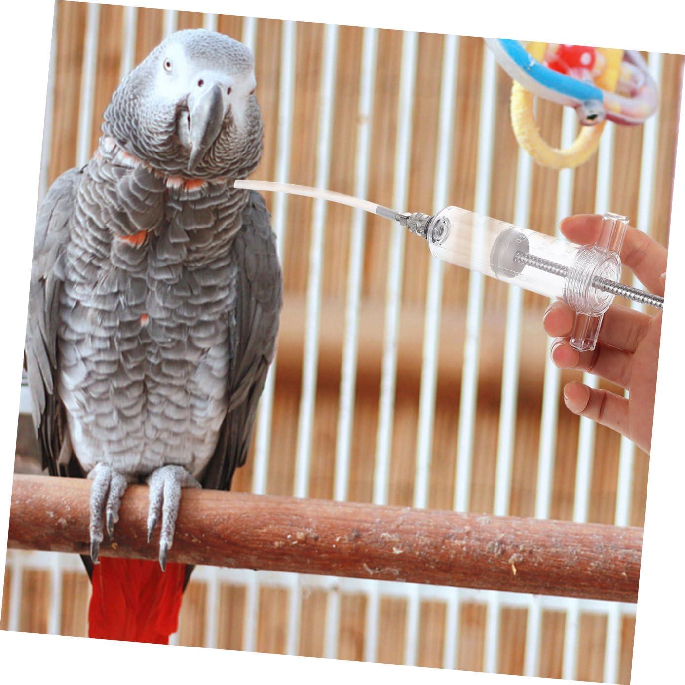 WOONEKY 3 Set di Accessori per Gabbie Mangiatoia per Uccelli Mangiatoia per Pappagalli Mangiatoia per Bambini Facile Calibrazione
